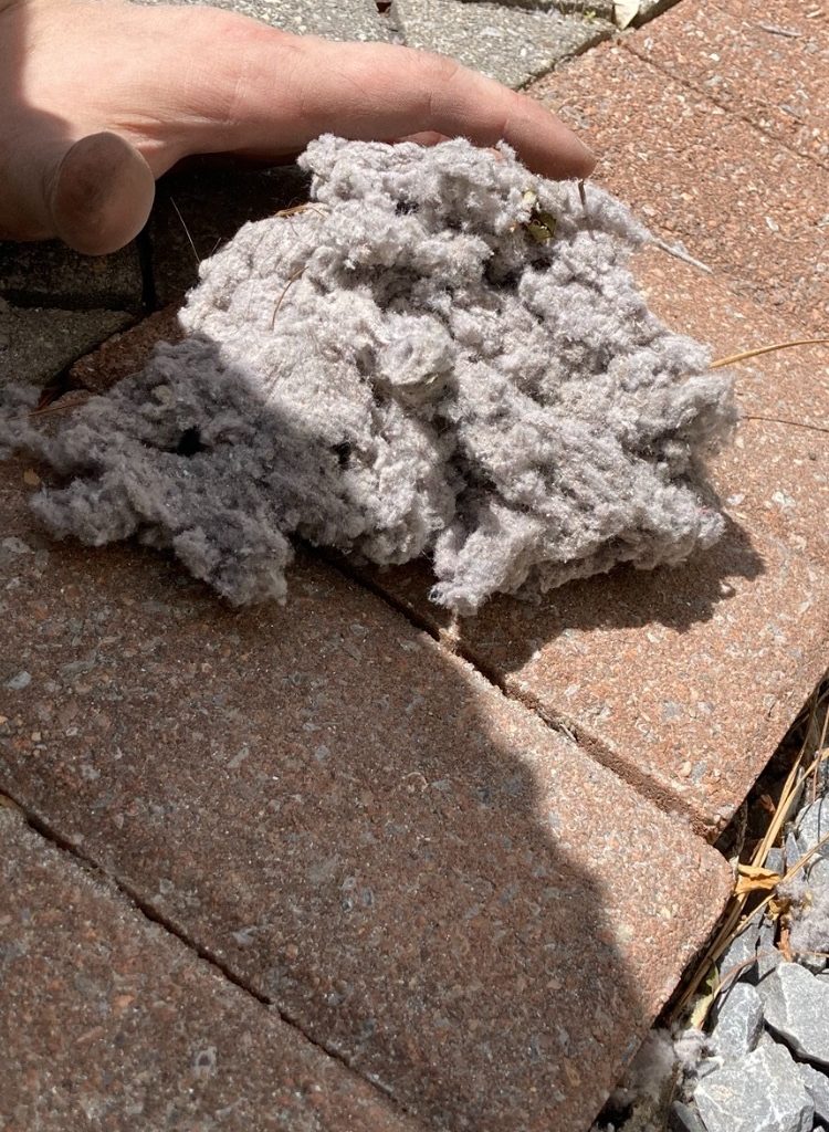 Hilton Head dryer vent cleaning services