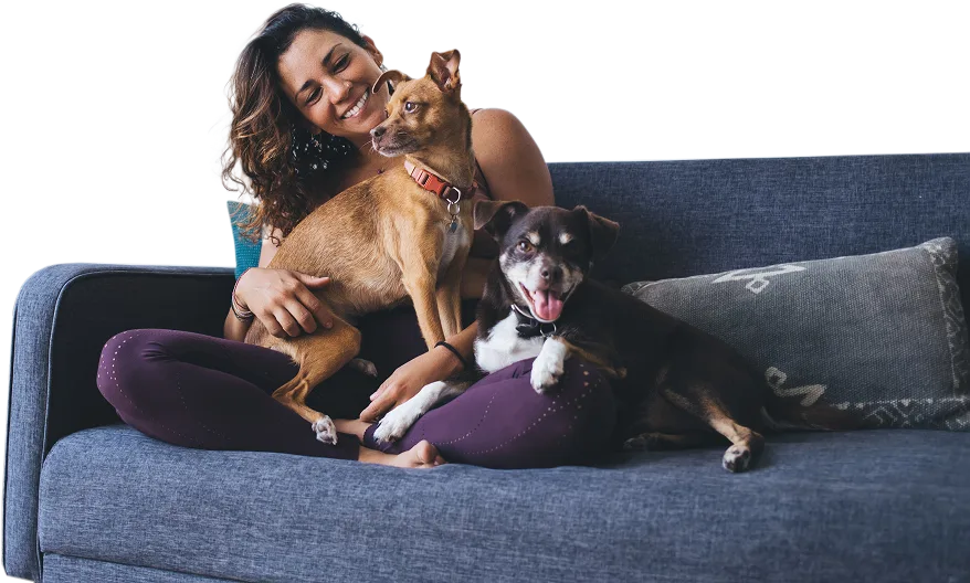 Clean Air Is Just A Call Away