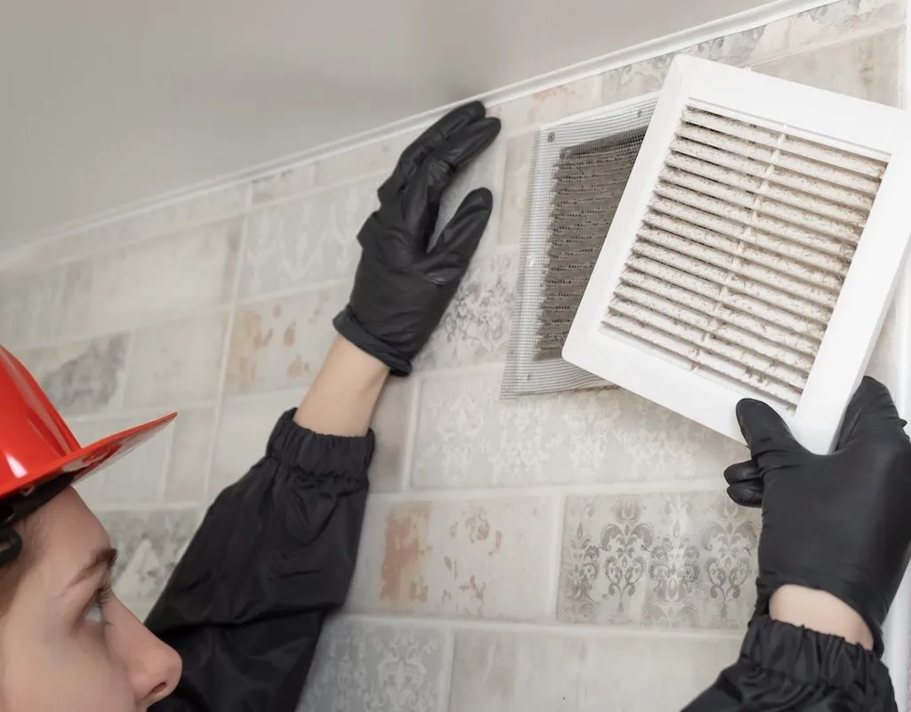 spring island team member skilled vent clean