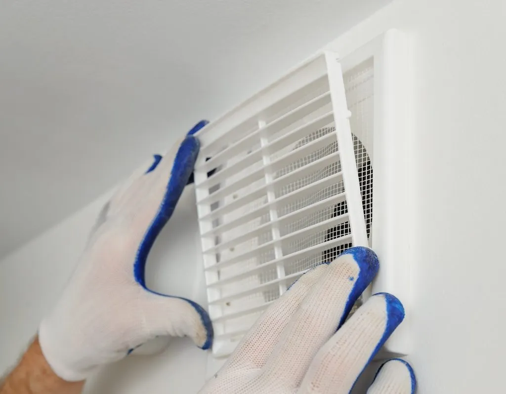 saint helena island experienced team