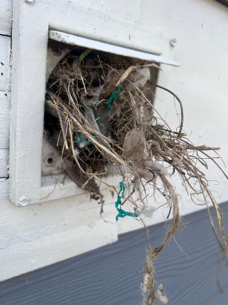 hvac maintenance checklist dryer vent cleaning Hilton Head, leaves and dirt stuck in vent