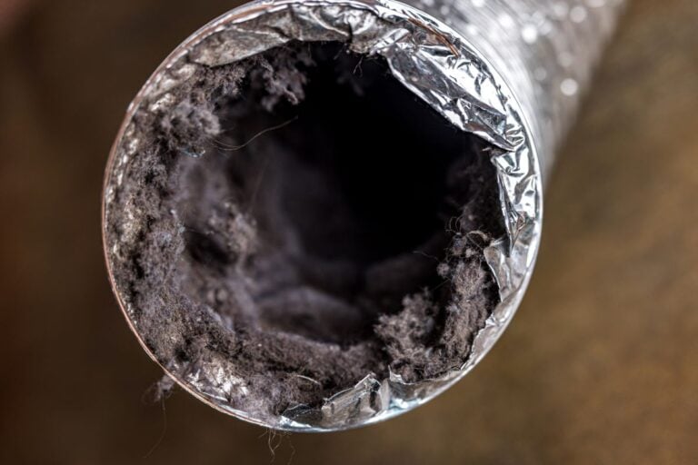 diy dryer vent cleaning dirty
