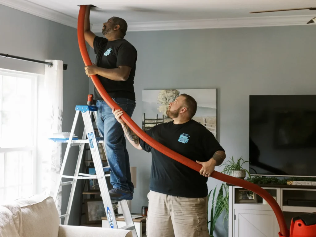 how to get rid of pet dander two proshine workers cleaning