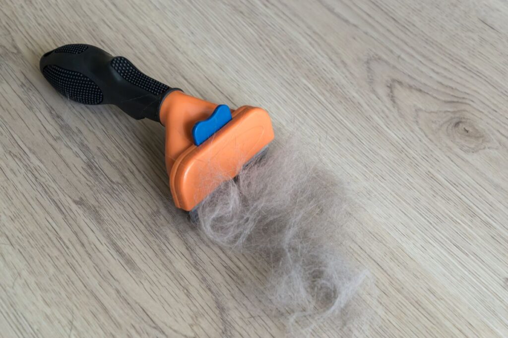 how to get rid of pet dander black and orange brush