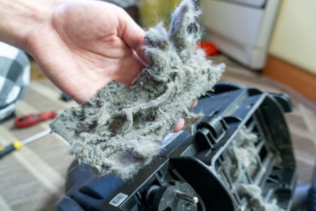 how to get rid of pet dander hand holding dirt and hair