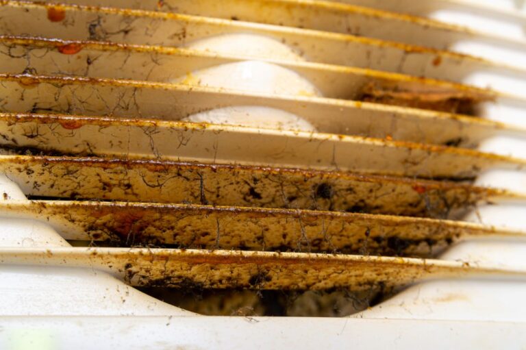 mold in air ducts hair and rust on vent close up