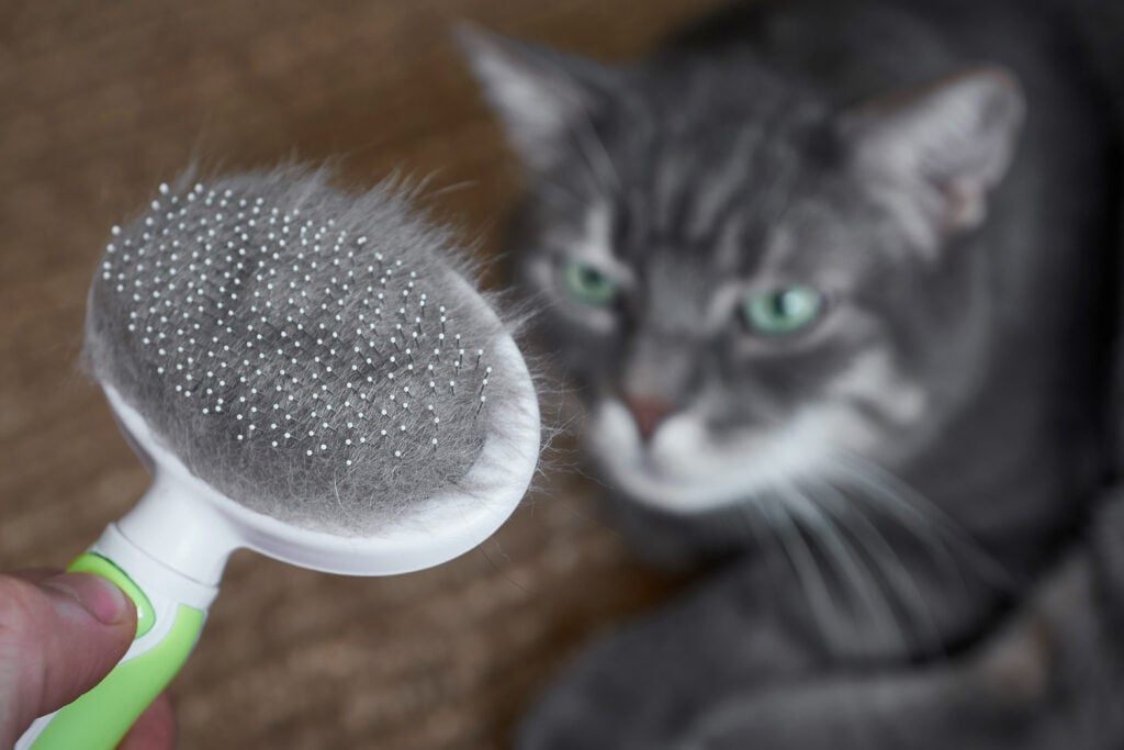 is air duct cleaning worth it pet hair brush with hairball