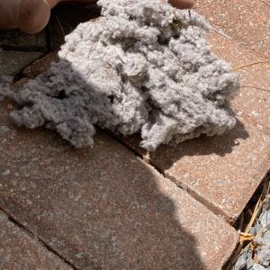 Dryer Vent and Air Duct Cleaning Services Hilton Head